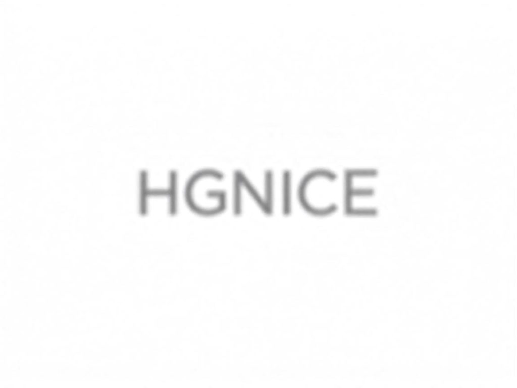 HGNice Games